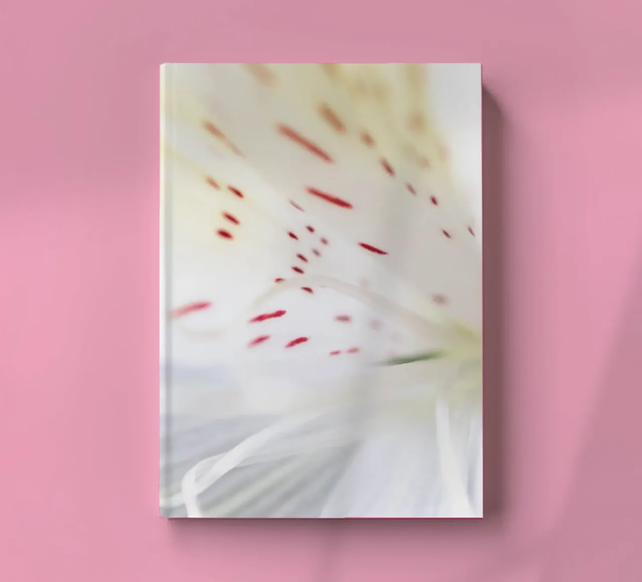 flora studies #3 notebook by rafael campezato