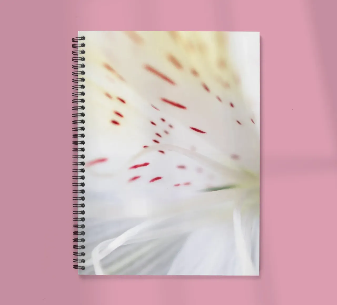 flora studies #3 spiral notebook by rafael campezato