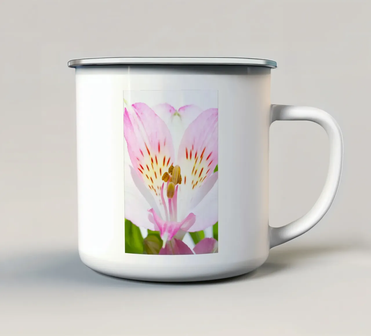 studi sulla flora #4 tazza in smalto da rafael campezato