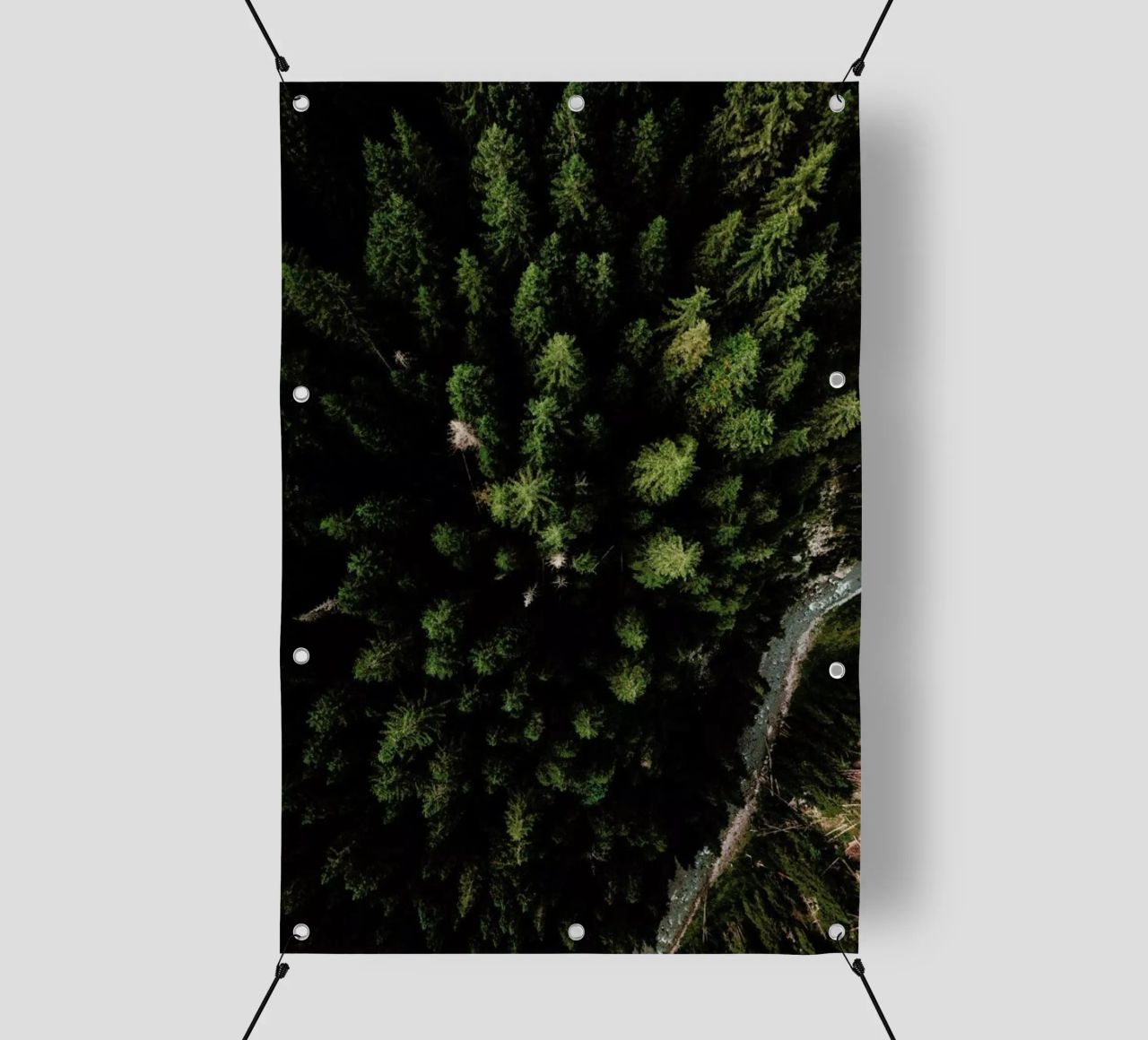 Trees And A Path telo in pvc da Sebastian Hilgetag
