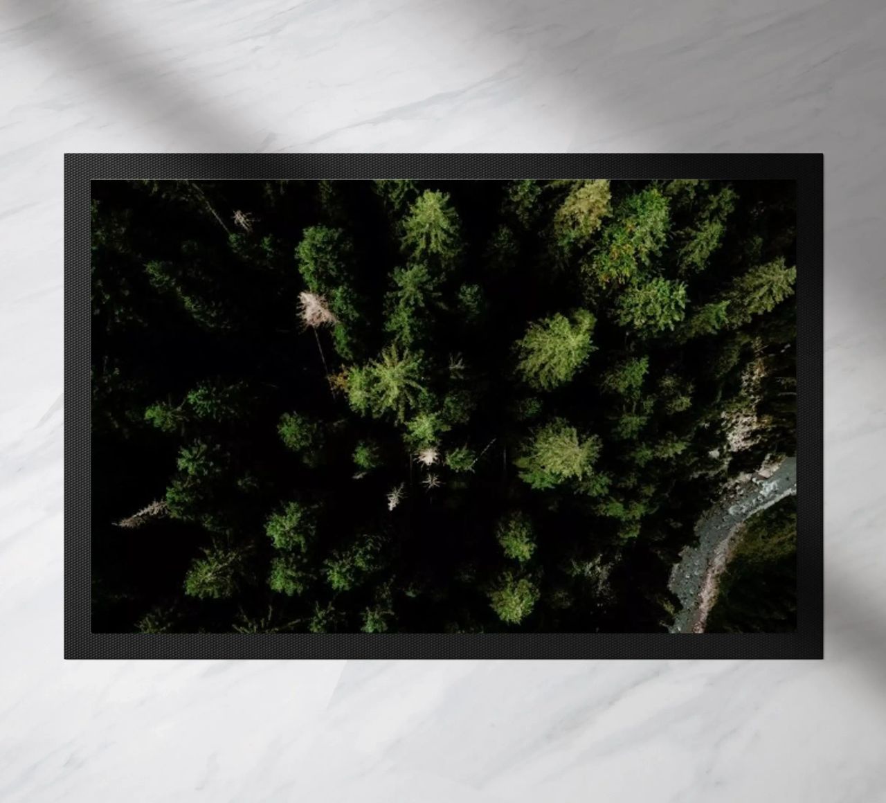 Trees And A Path zerbino da Sebastian Hilgetag