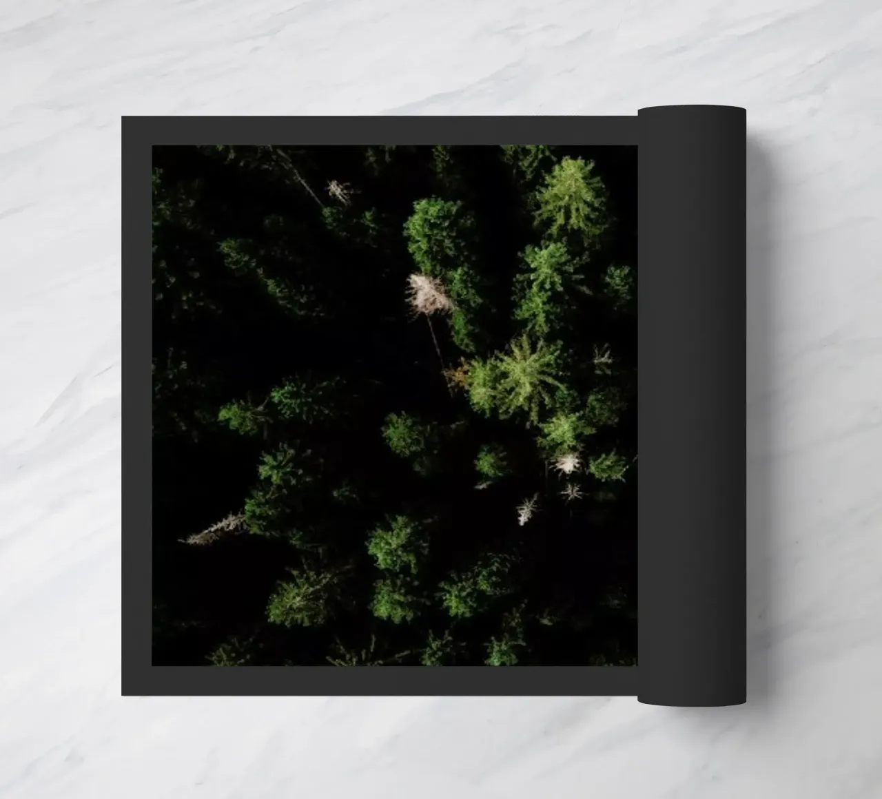 Trees And A Path zerbino da Sebastian Hilgetag