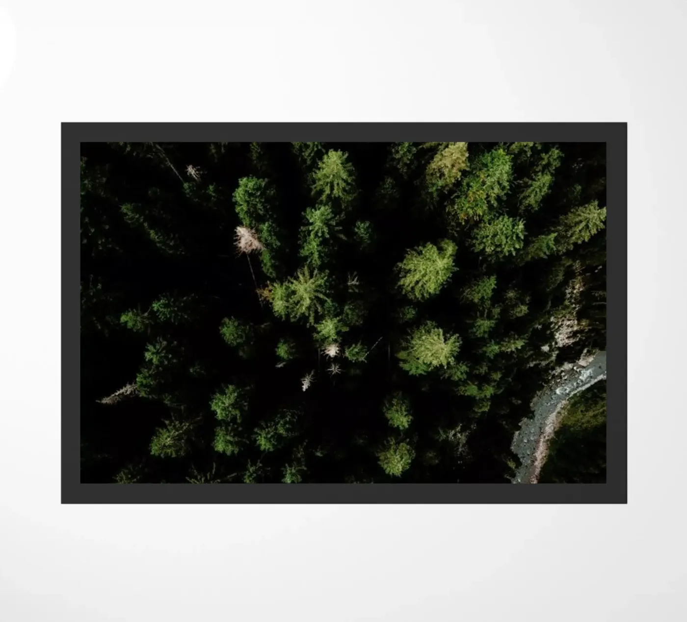 Trees And A Path deurmat van Sebastian Hilgetag