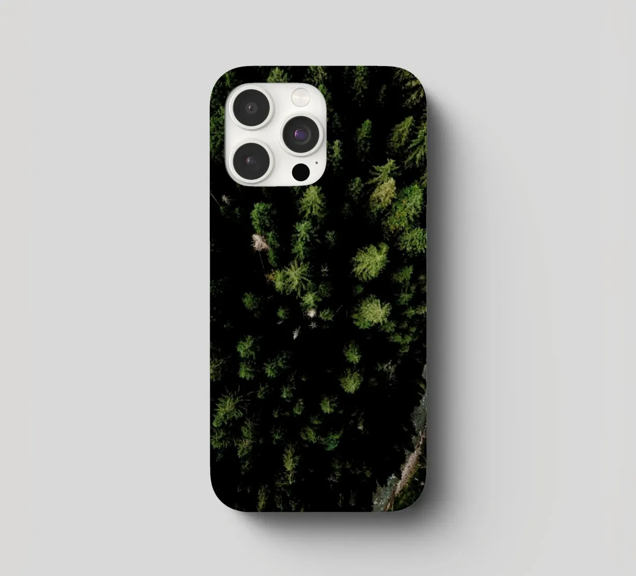 Trees And A Path cover iphone da Sebastian Hilgetag