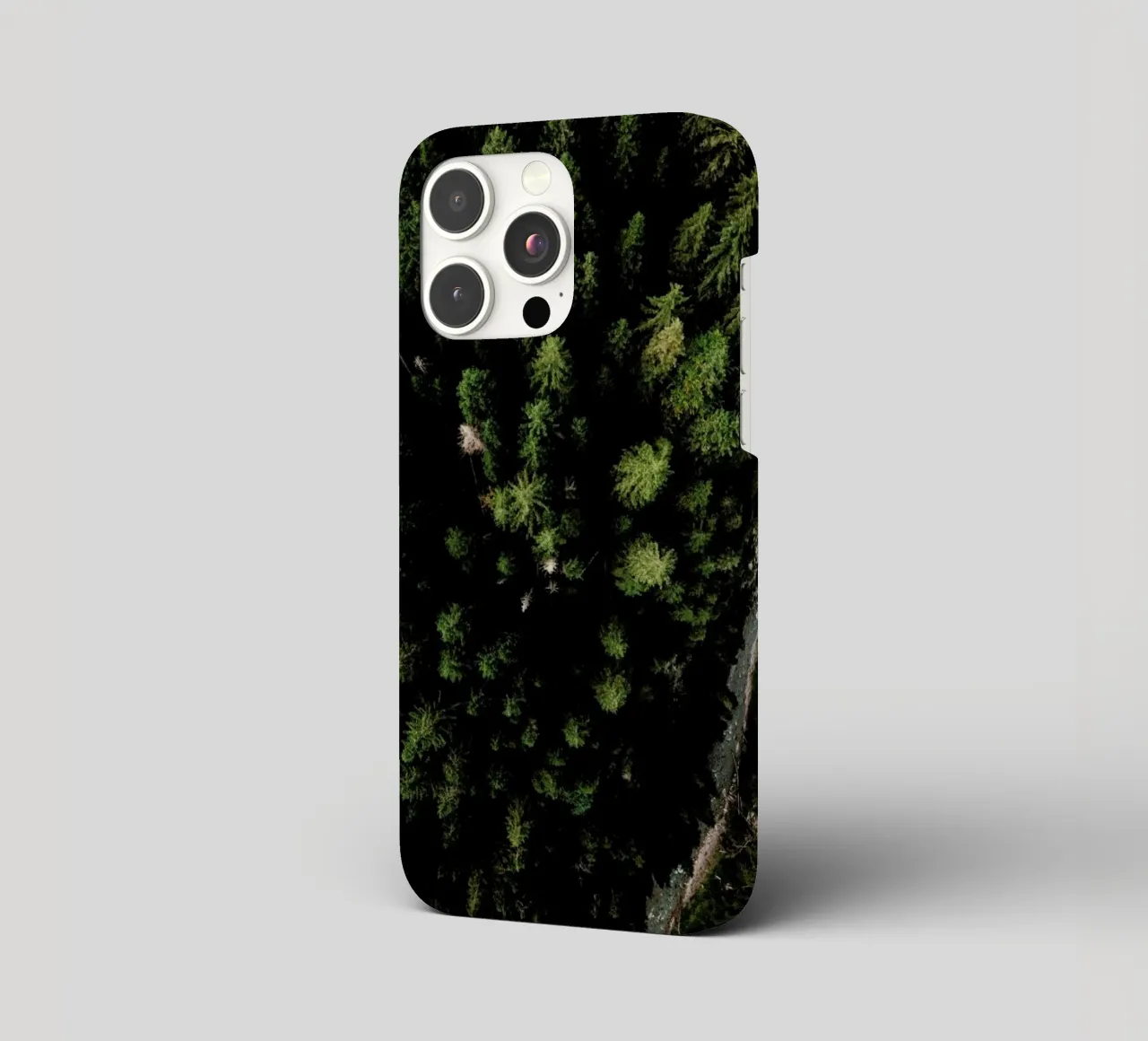 Trees And A Path cover iphone da Sebastian Hilgetag