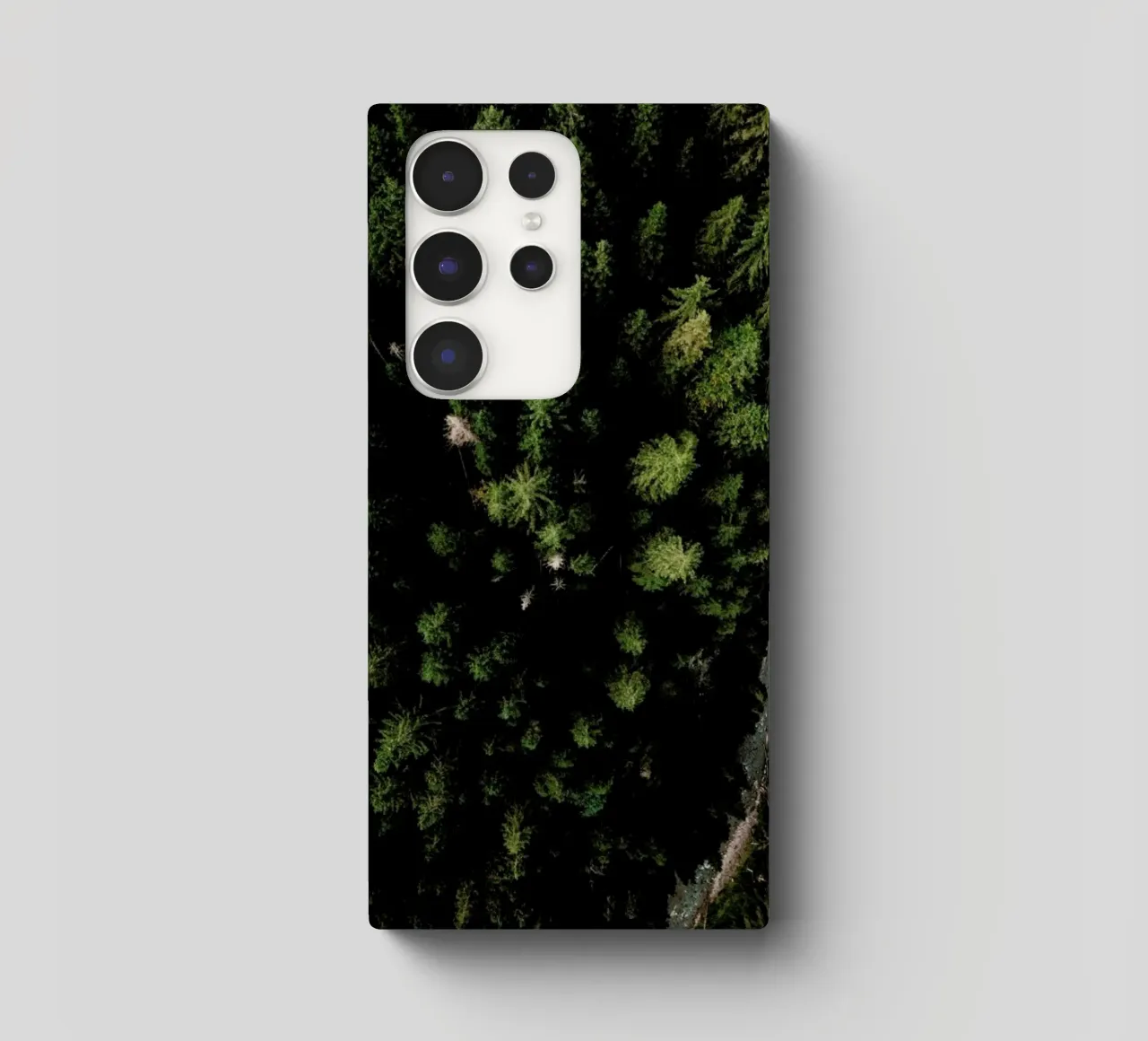 Trees And A Path cover samsung da Sebastian Hilgetag