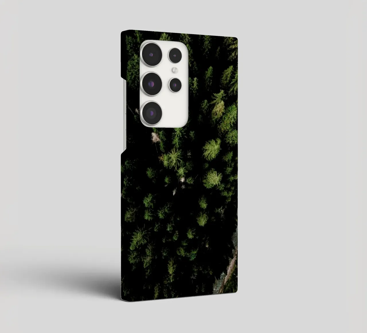 Trees And A Path cover samsung da Sebastian Hilgetag