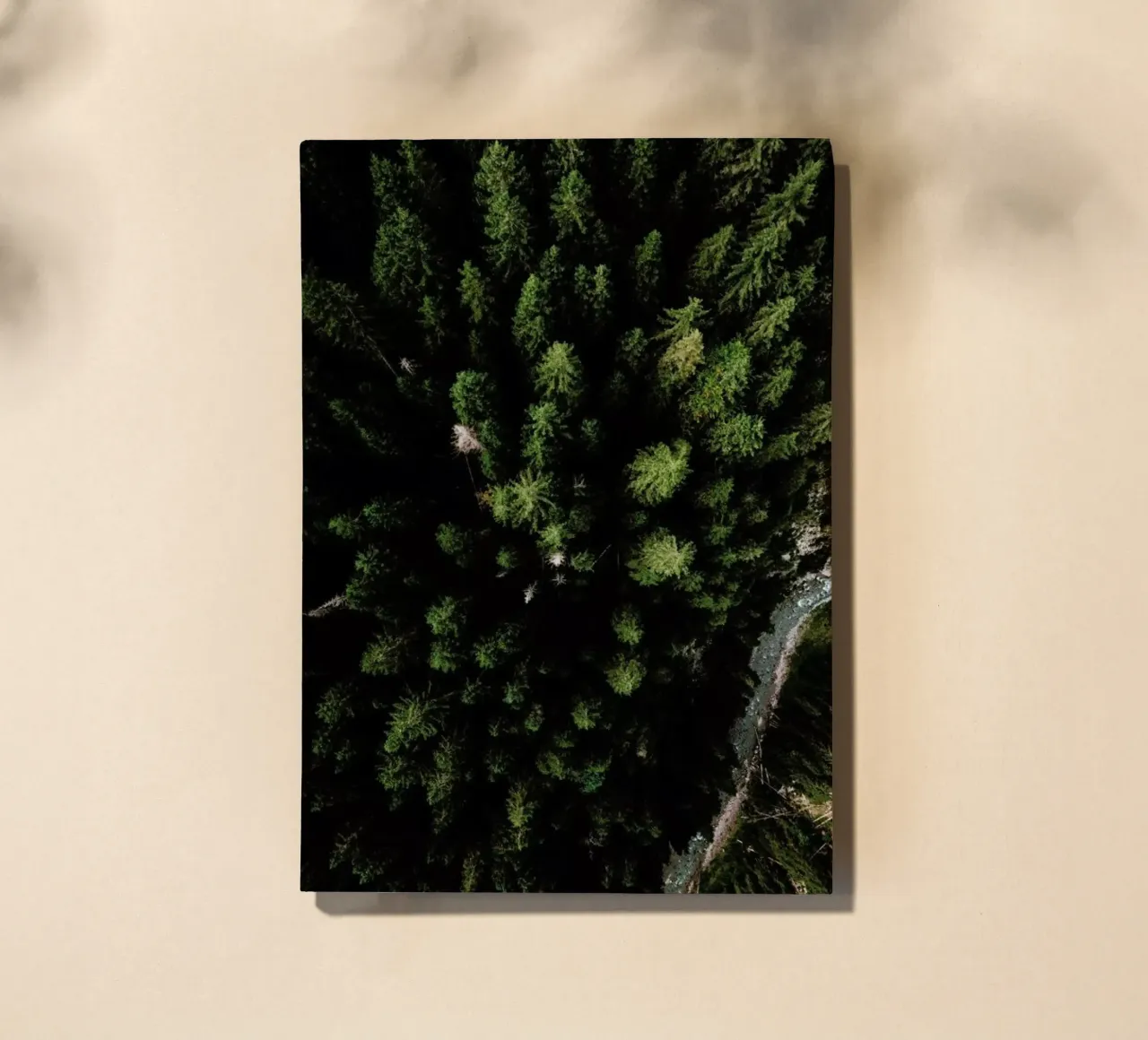 Trees And A Path notebook by Sebastian Hilgetag