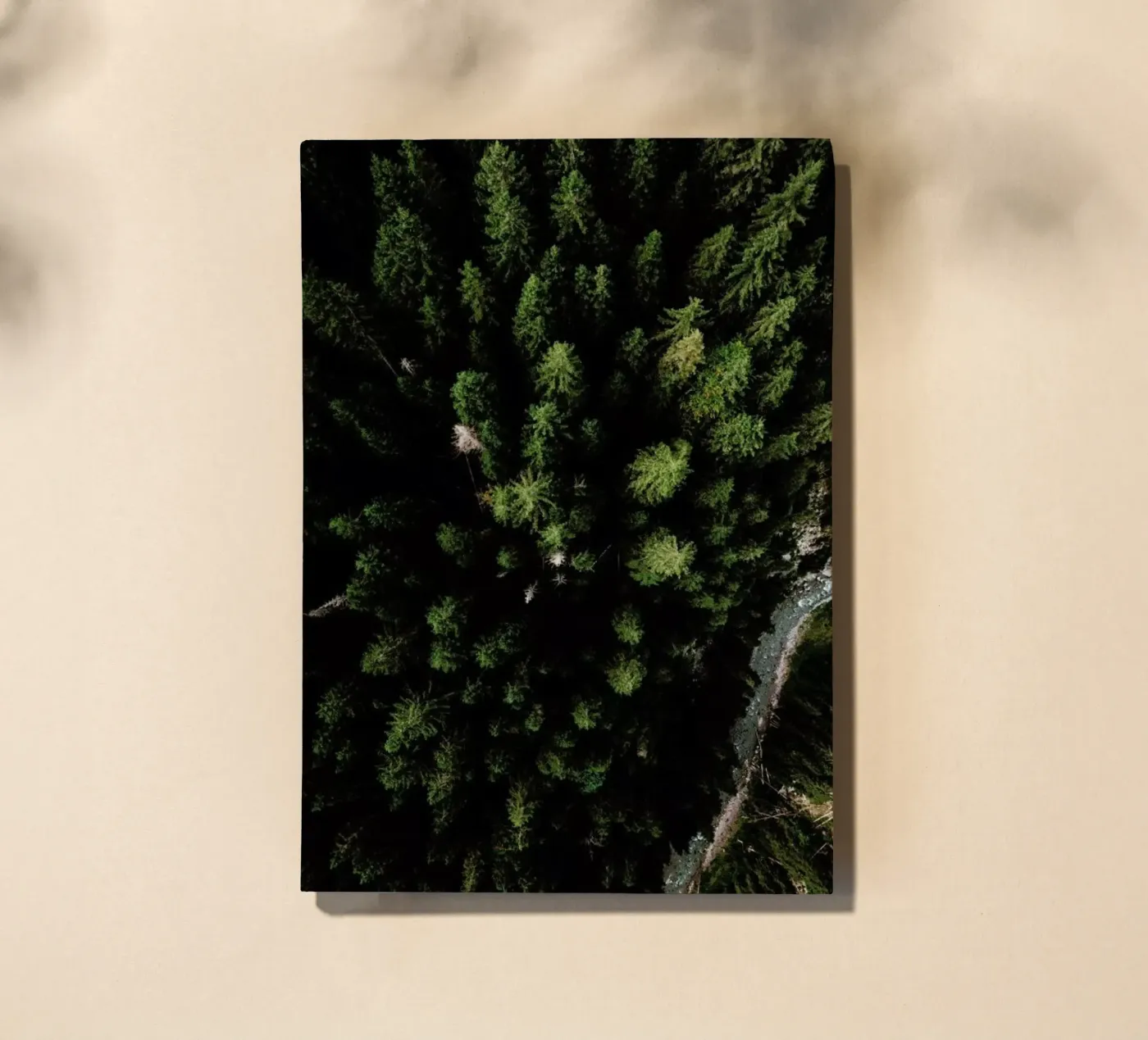 Trees And A Path carnet de Sebastian Hilgetag