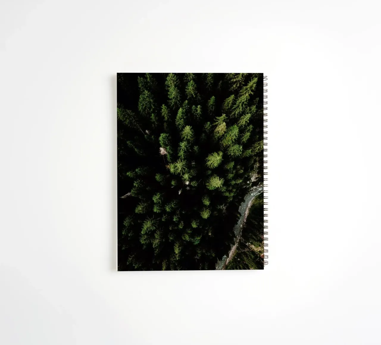 Trees And A Path spiral notebook by Sebastian Hilgetag