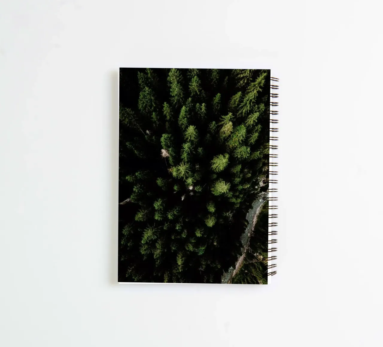 Trees And A Path spiral notebook by Sebastian Hilgetag