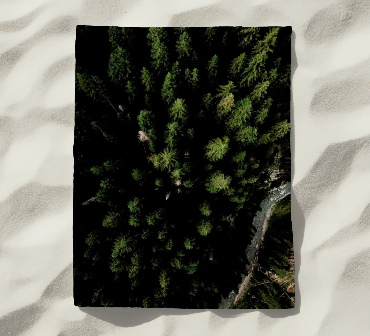 Trees And A Path telo mare da Sebastian Hilgetag