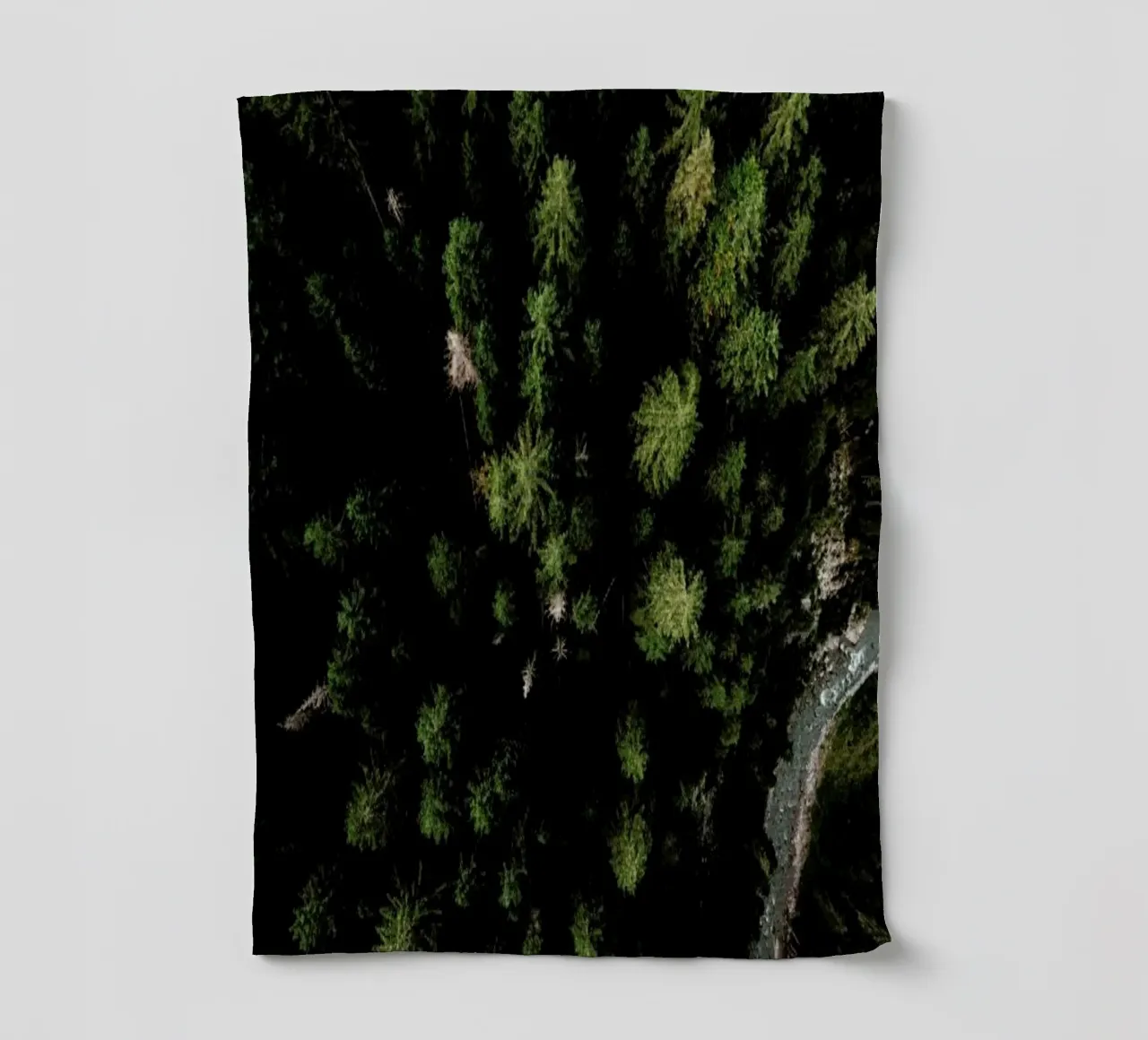 Trees And A Path tea towel by Sebastian Hilgetag