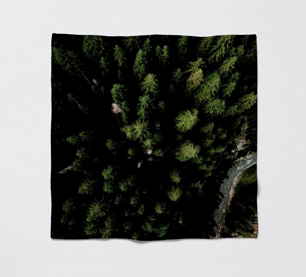 Trees And A Path coperta in pile da Sebastian Hilgetag