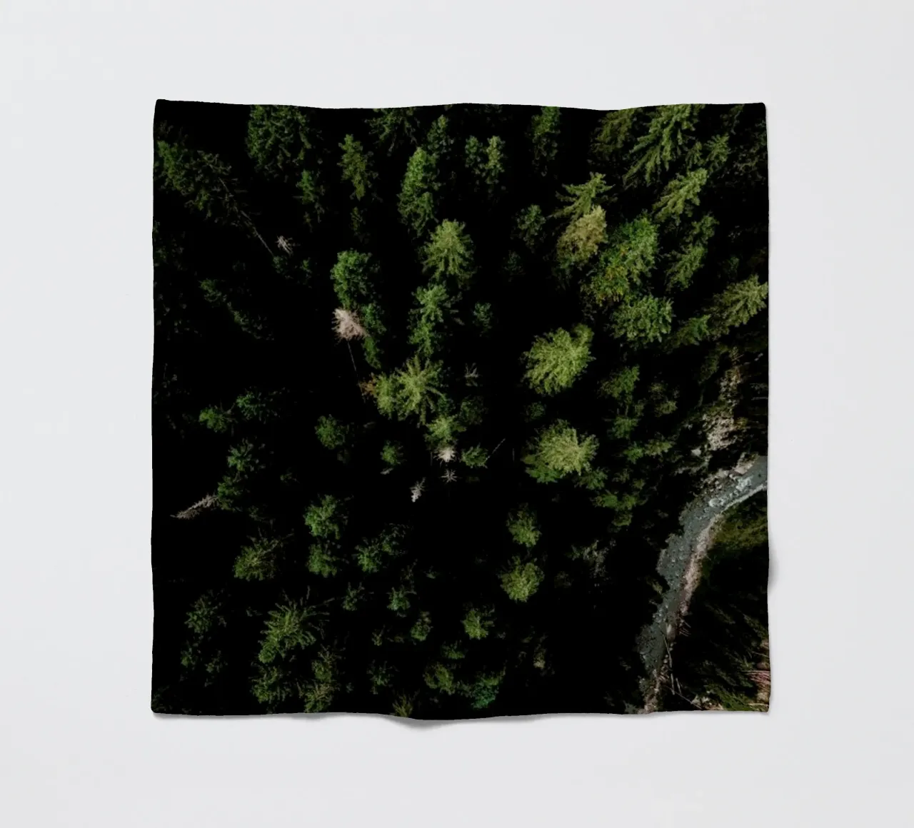 Trees And A Path coperta in pile da Sebastian Hilgetag