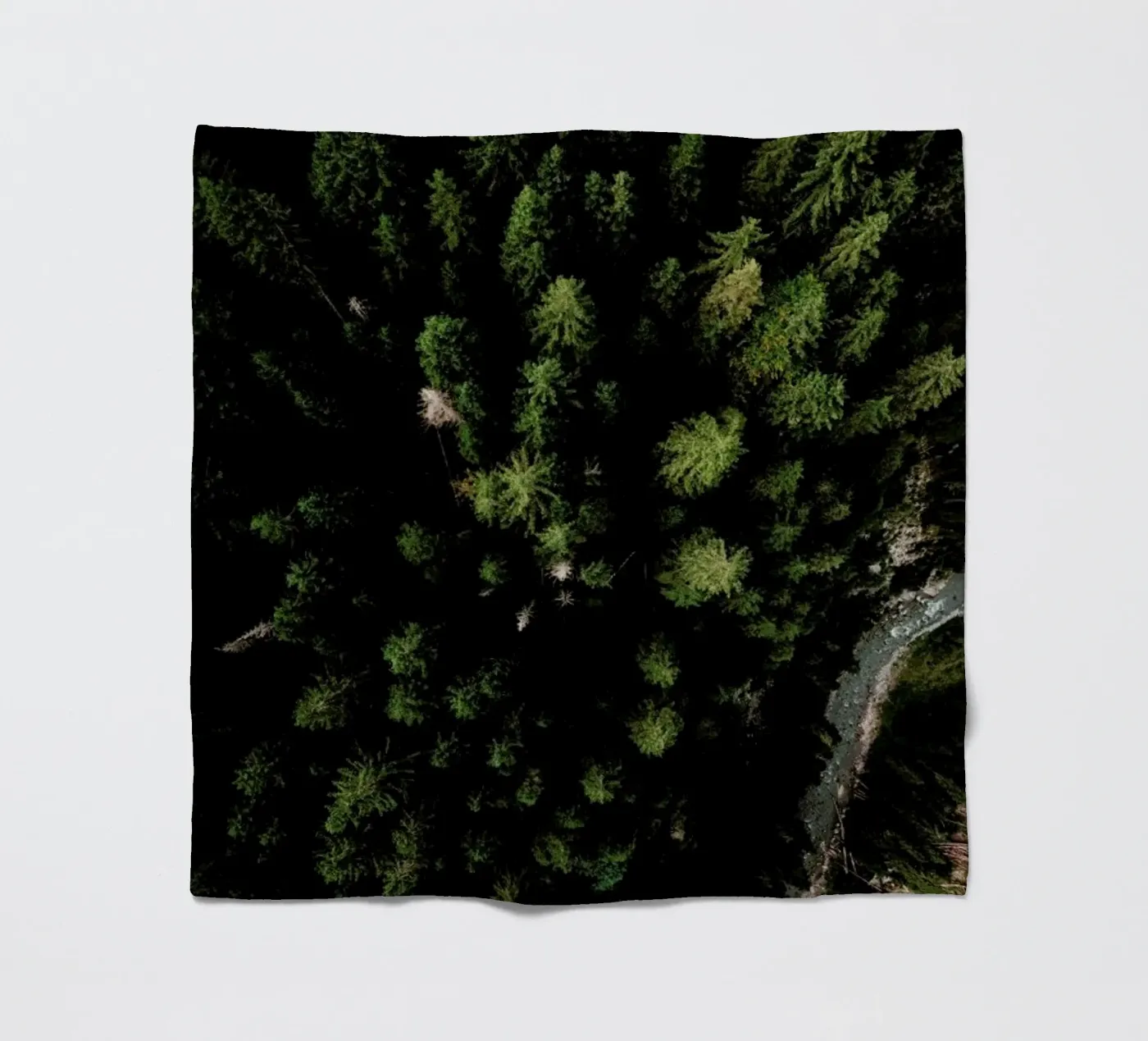 Trees And A Path Fleecedecke von Sebastian Hilgetag