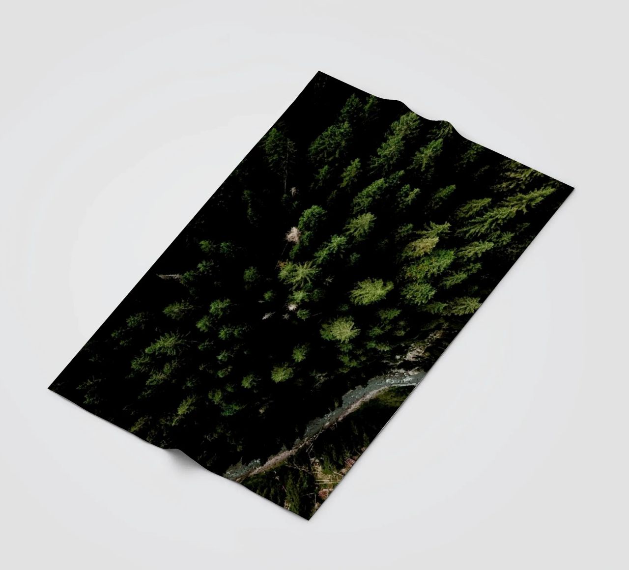 Trees And A Path coperta in pile da Sebastian Hilgetag