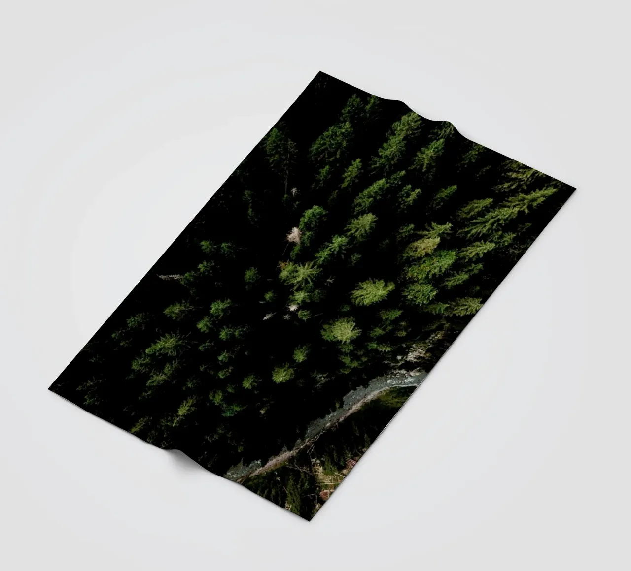 Trees And A Path coperta in pile da Sebastian Hilgetag