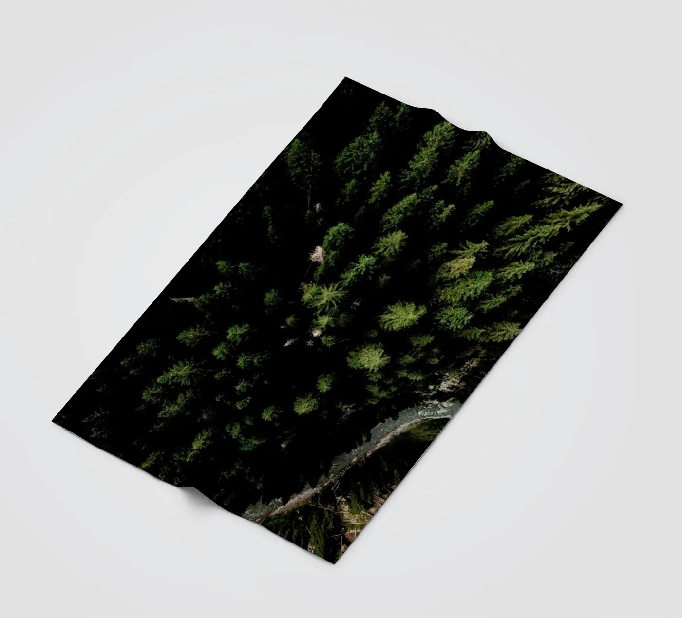 Trees And A Path Fleecedecke von Sebastian Hilgetag