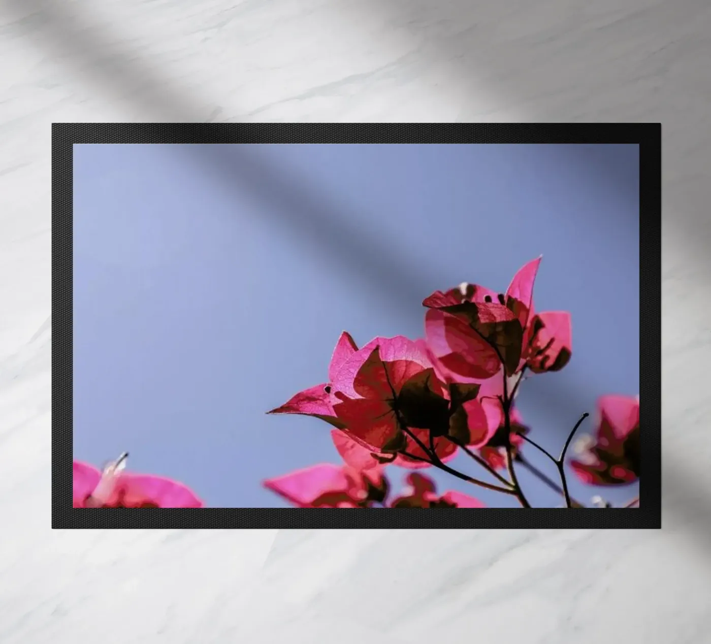 Blom zerbino da Shot By Clint