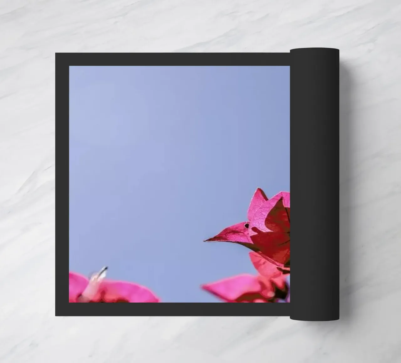 Blom zerbino da Shot By Clint