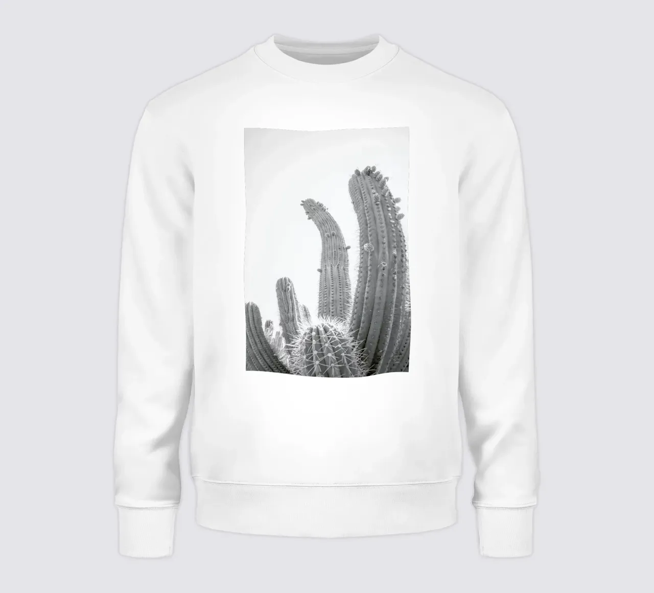 Cactus felpa da Shot By Clint