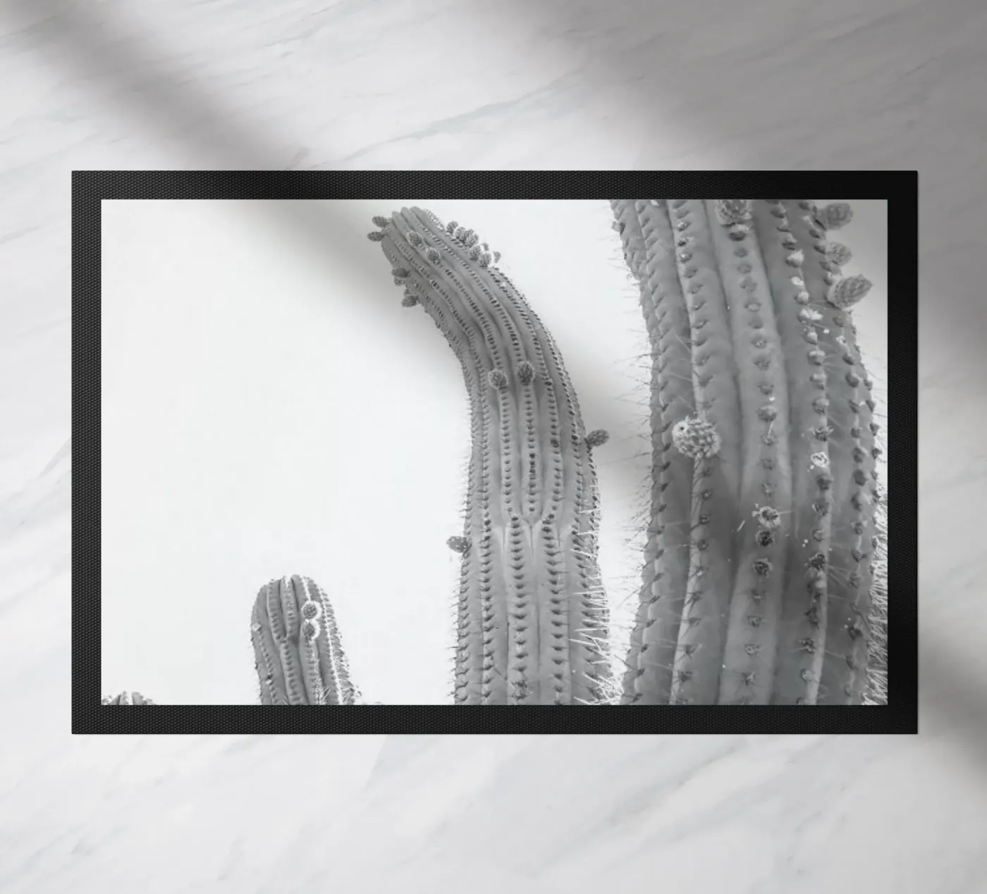 Cactus doormat by Shot By Clint