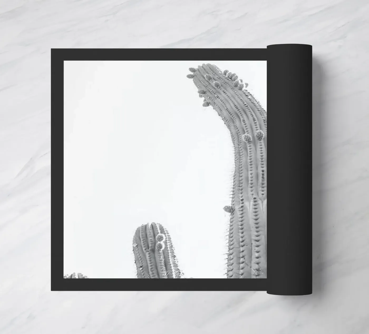 Cactus Fußmatte von Shot By Clint