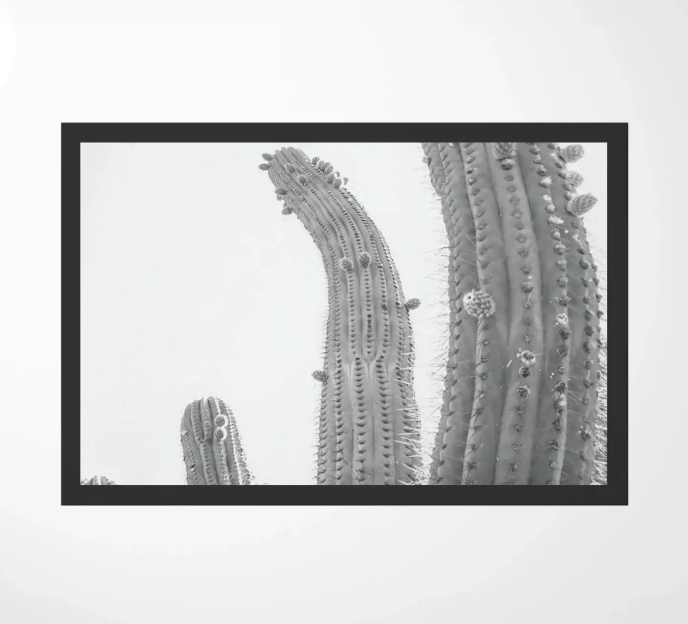 Cactus doormat by Shot By Clint