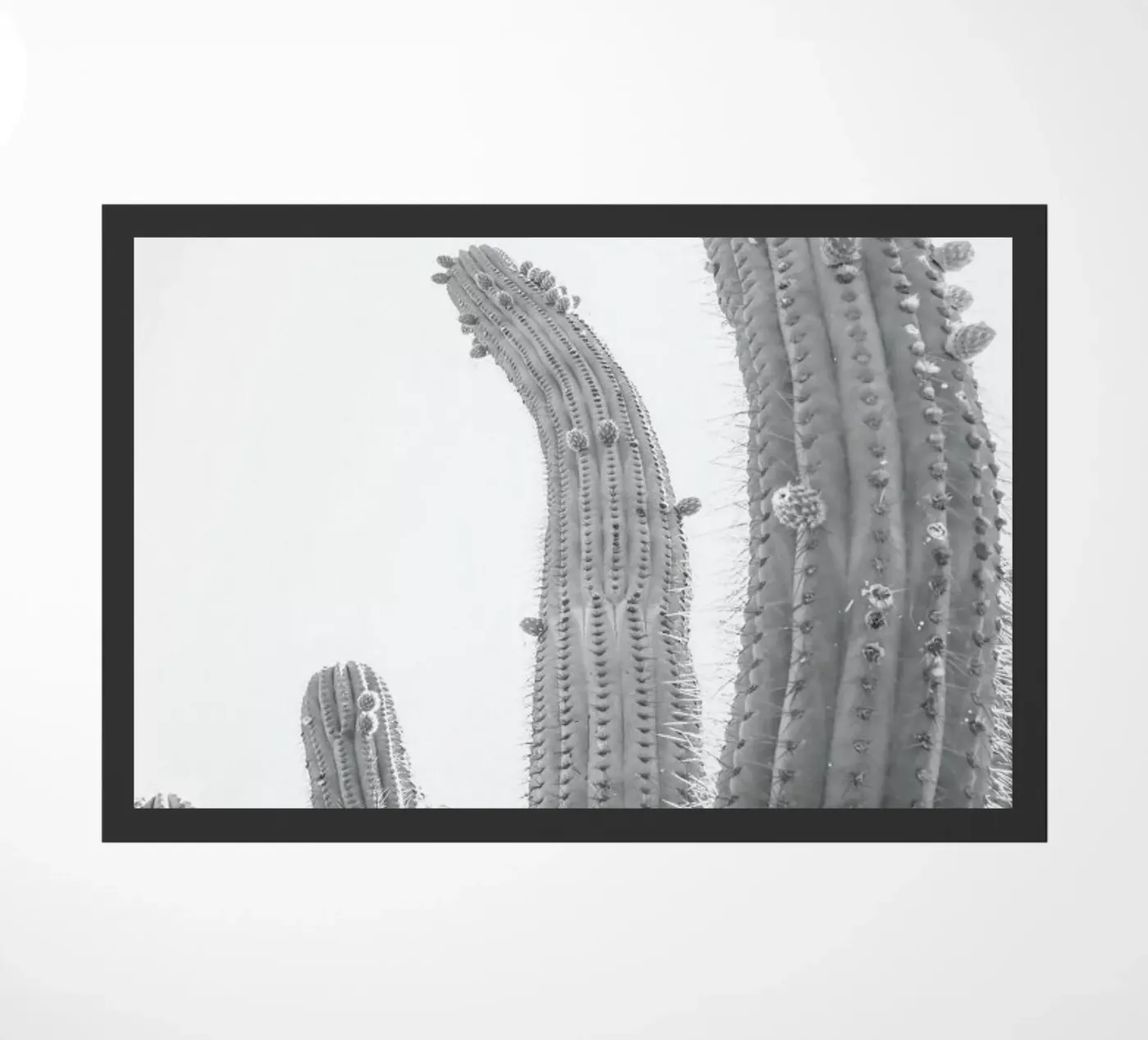 Cactus Fußmatte von Shot By Clint