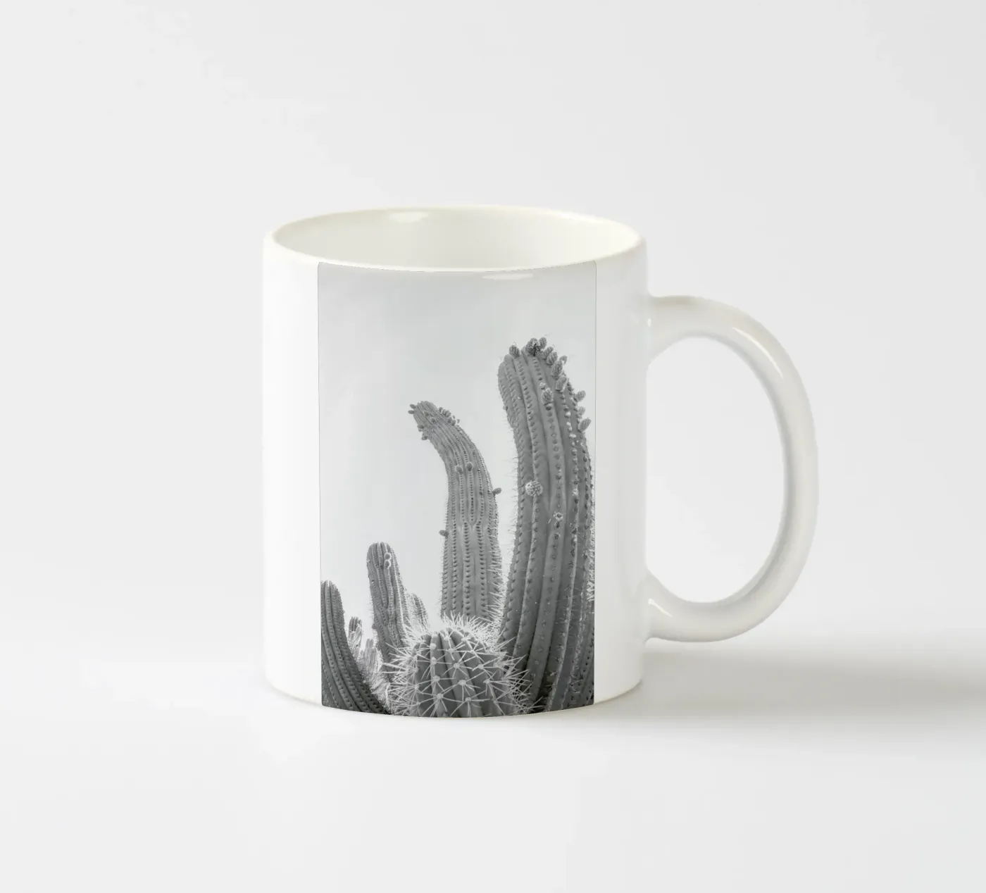Cactus ceramic mug by Shot By Clint