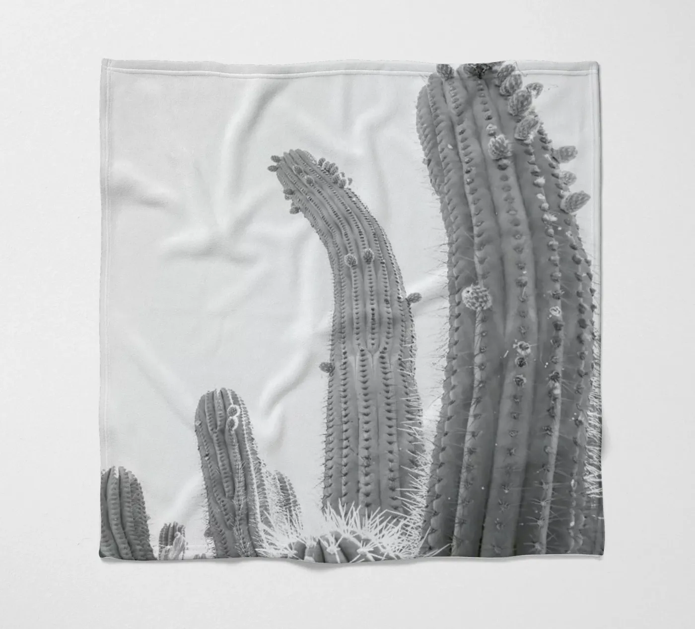 Cactus Fleecedecke von Shot By Clint