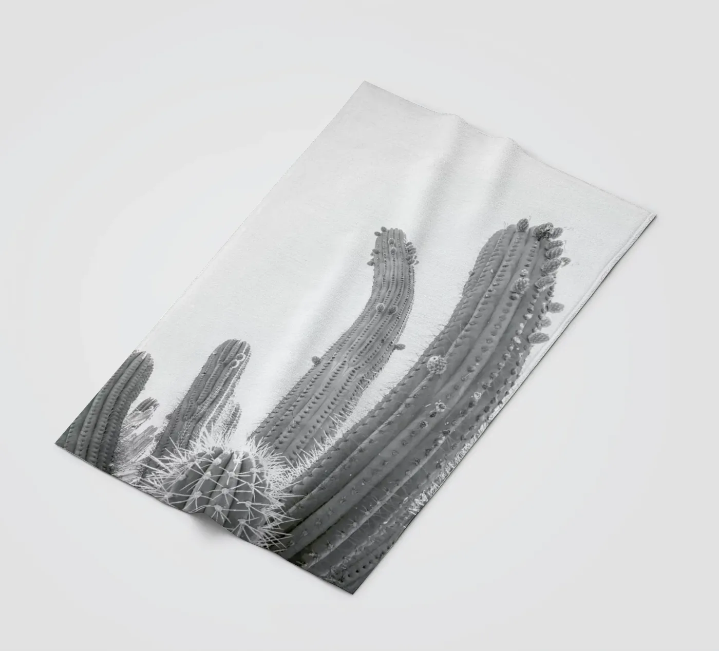 Cactus Fleecedecke von Shot By Clint