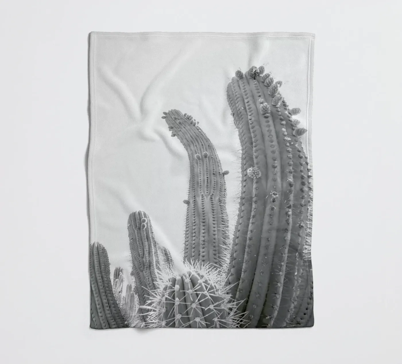 Cactus Fleecedecke von Shot By Clint