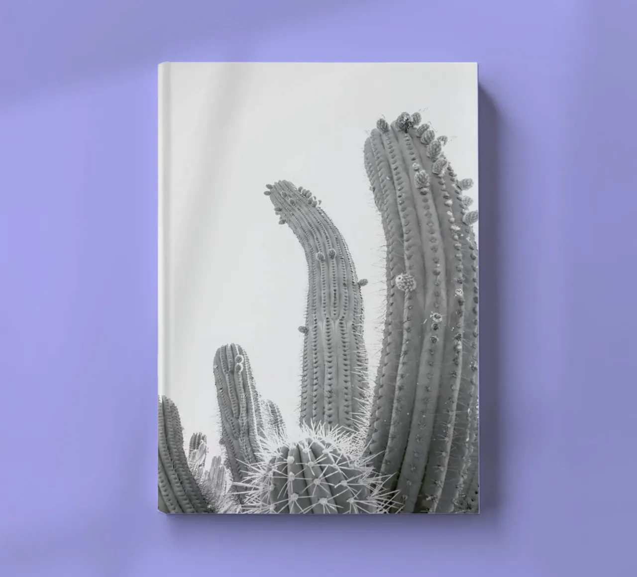 Cactus notebook by Shot By Clint