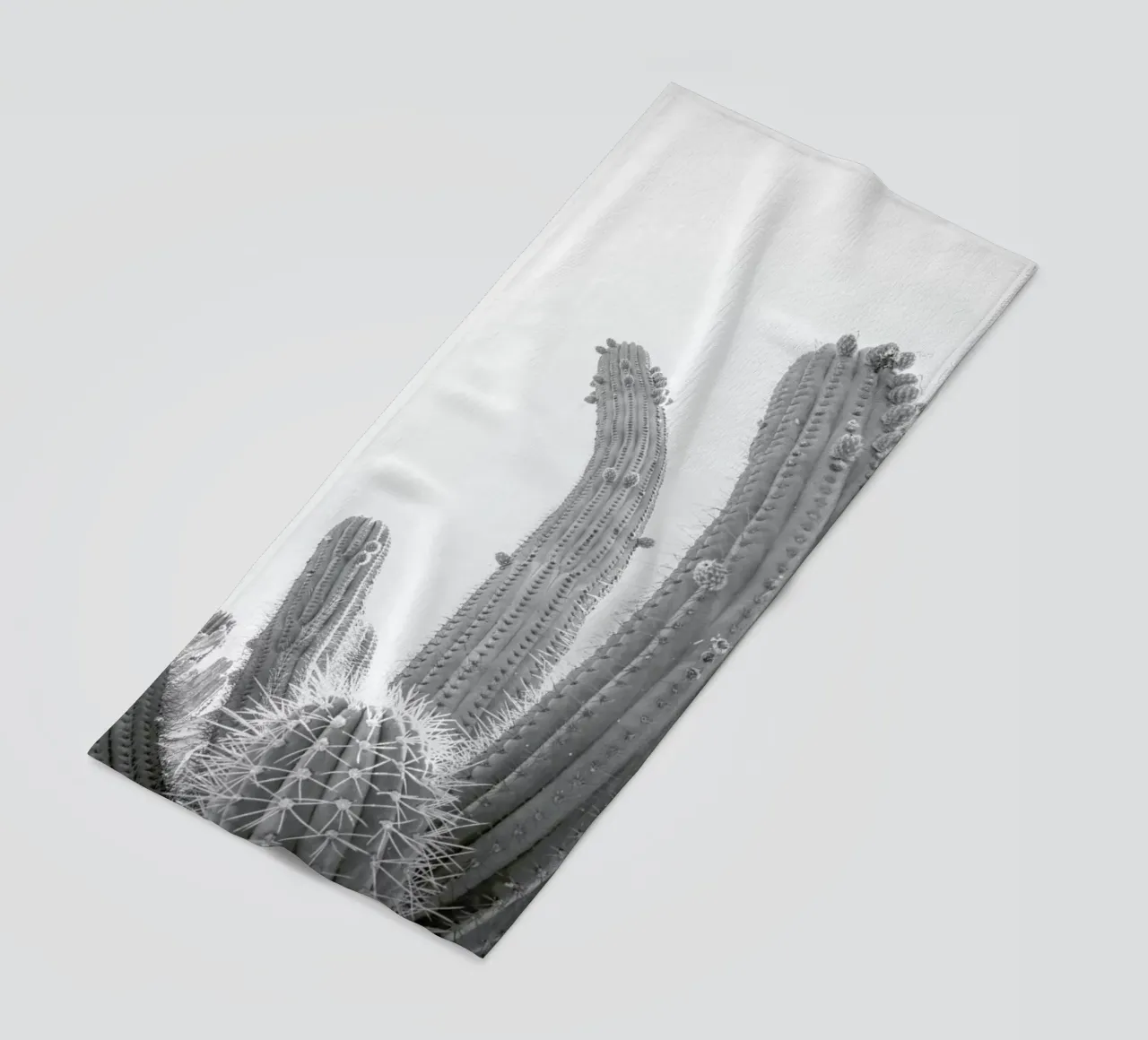 Cactus telo mare da Shot By Clint