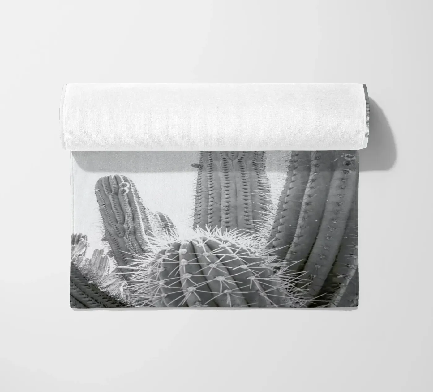 Cactus telo mare da Shot By Clint