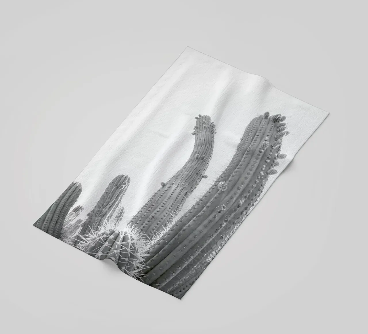 Cactus telo mare da Shot By Clint