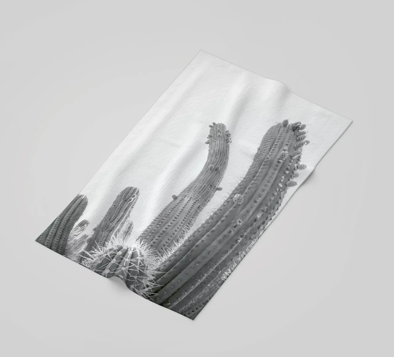 Cactus telo mare da Shot By Clint