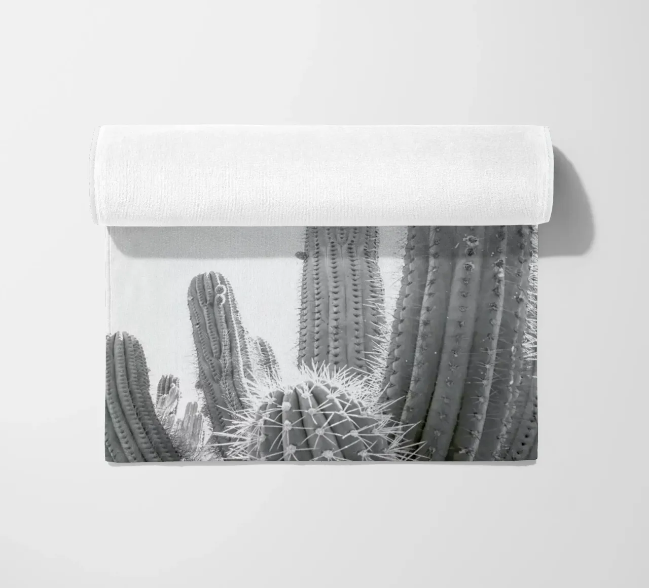 Cactus telo mare da Shot By Clint