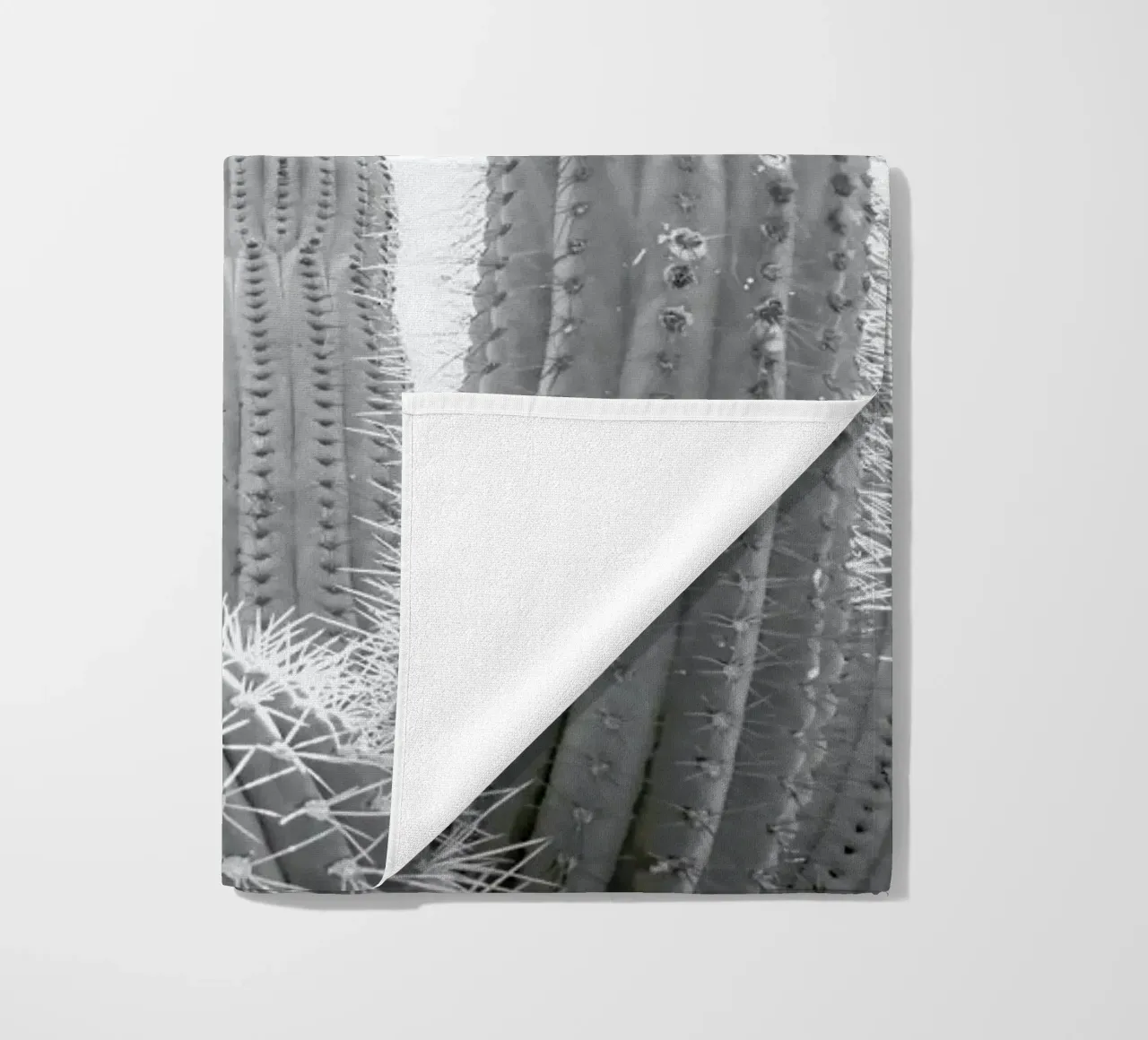 Cactus telo mare da Shot By Clint