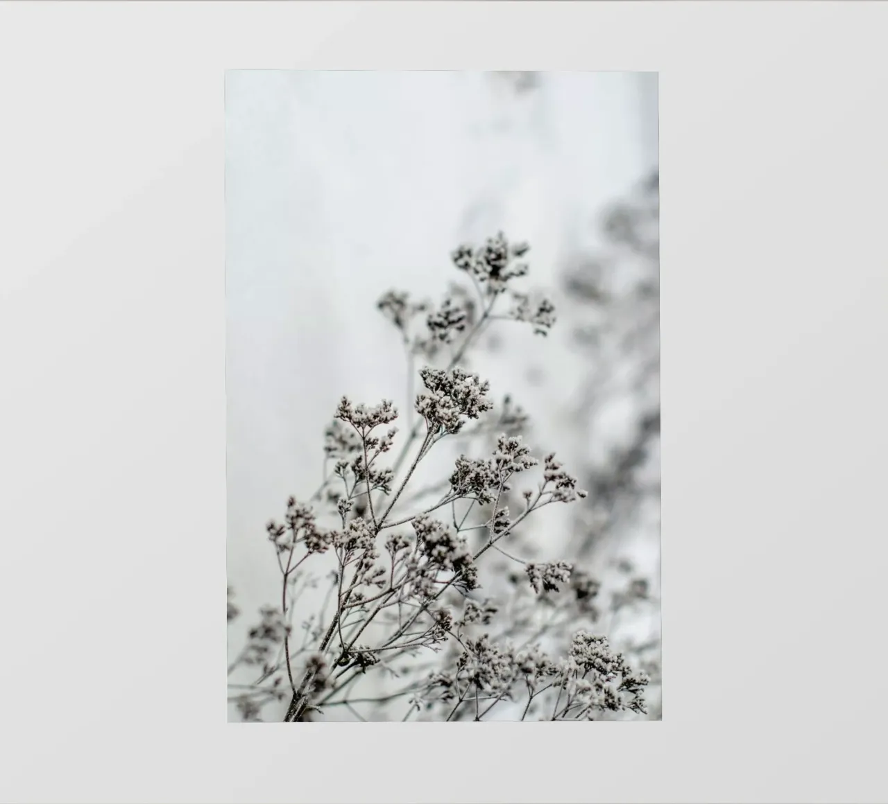 Frozen Thistle PVC Plane von EyeEm Mobile GmbH