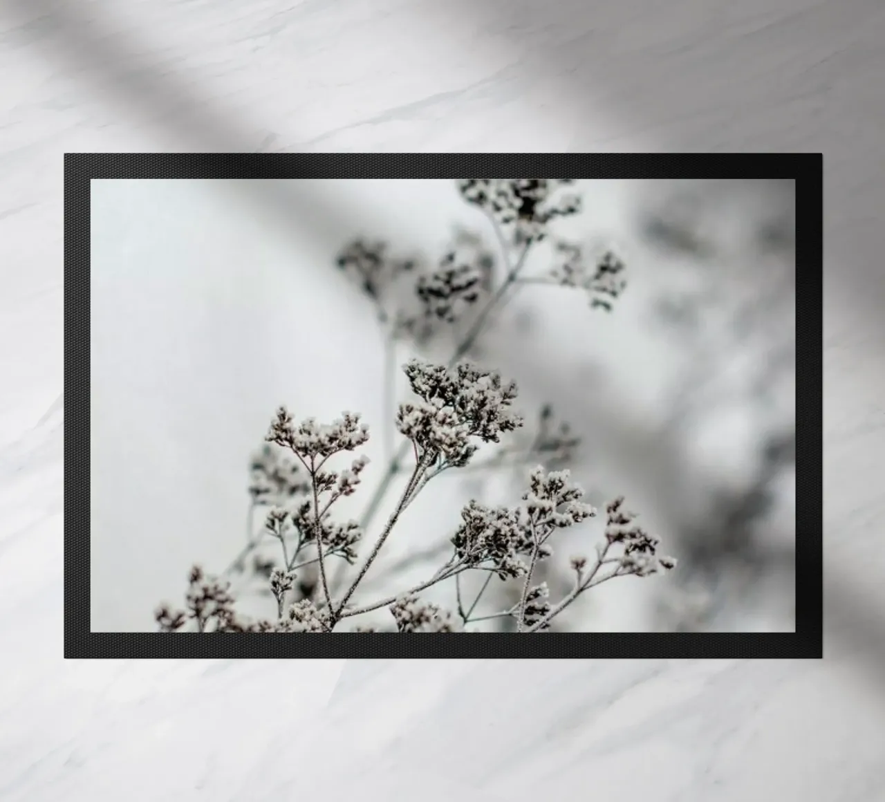 Frozen Thistle zerbino da EyeEm Mobile GmbH