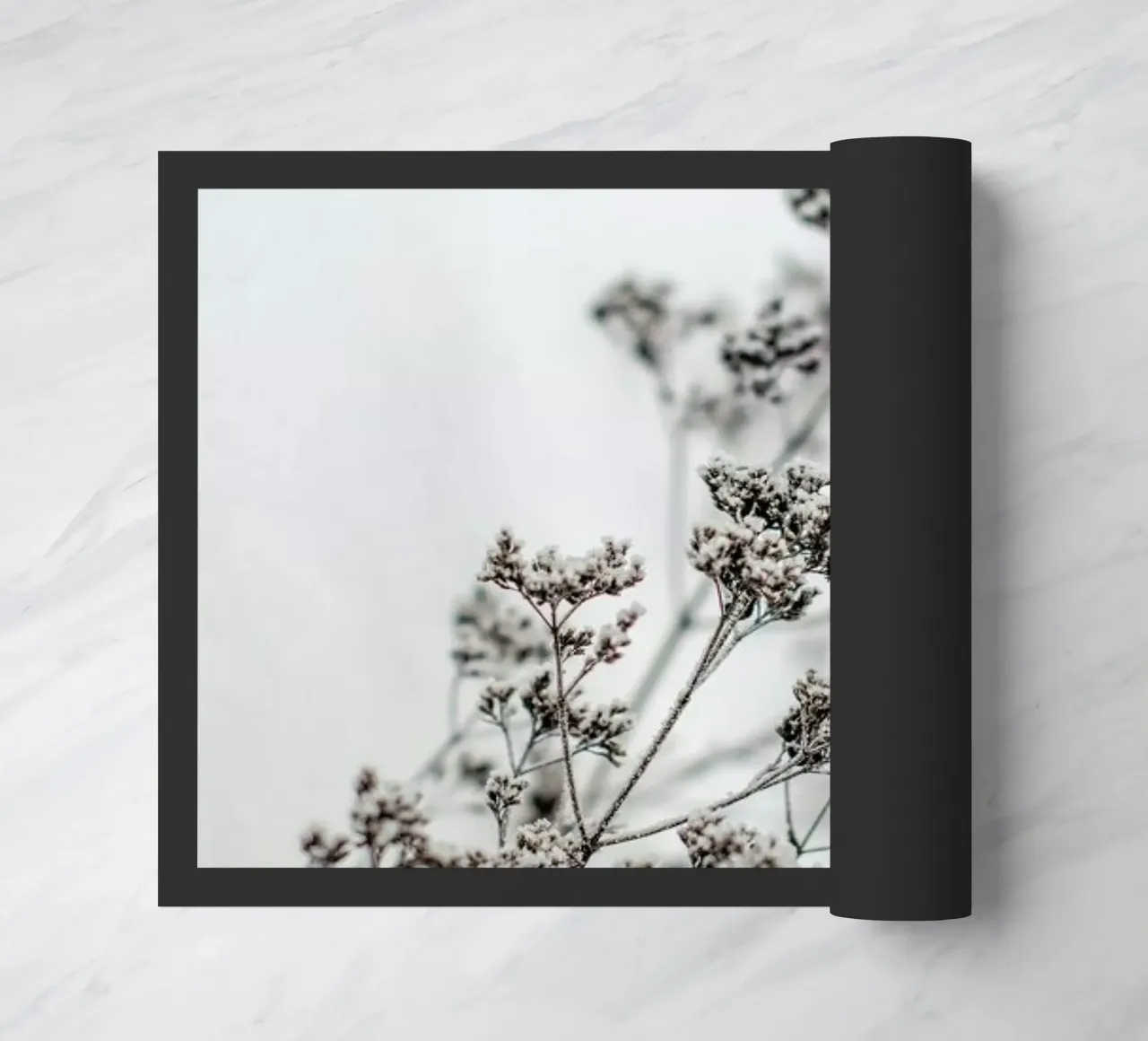 Frozen Thistle zerbino da EyeEm Mobile GmbH