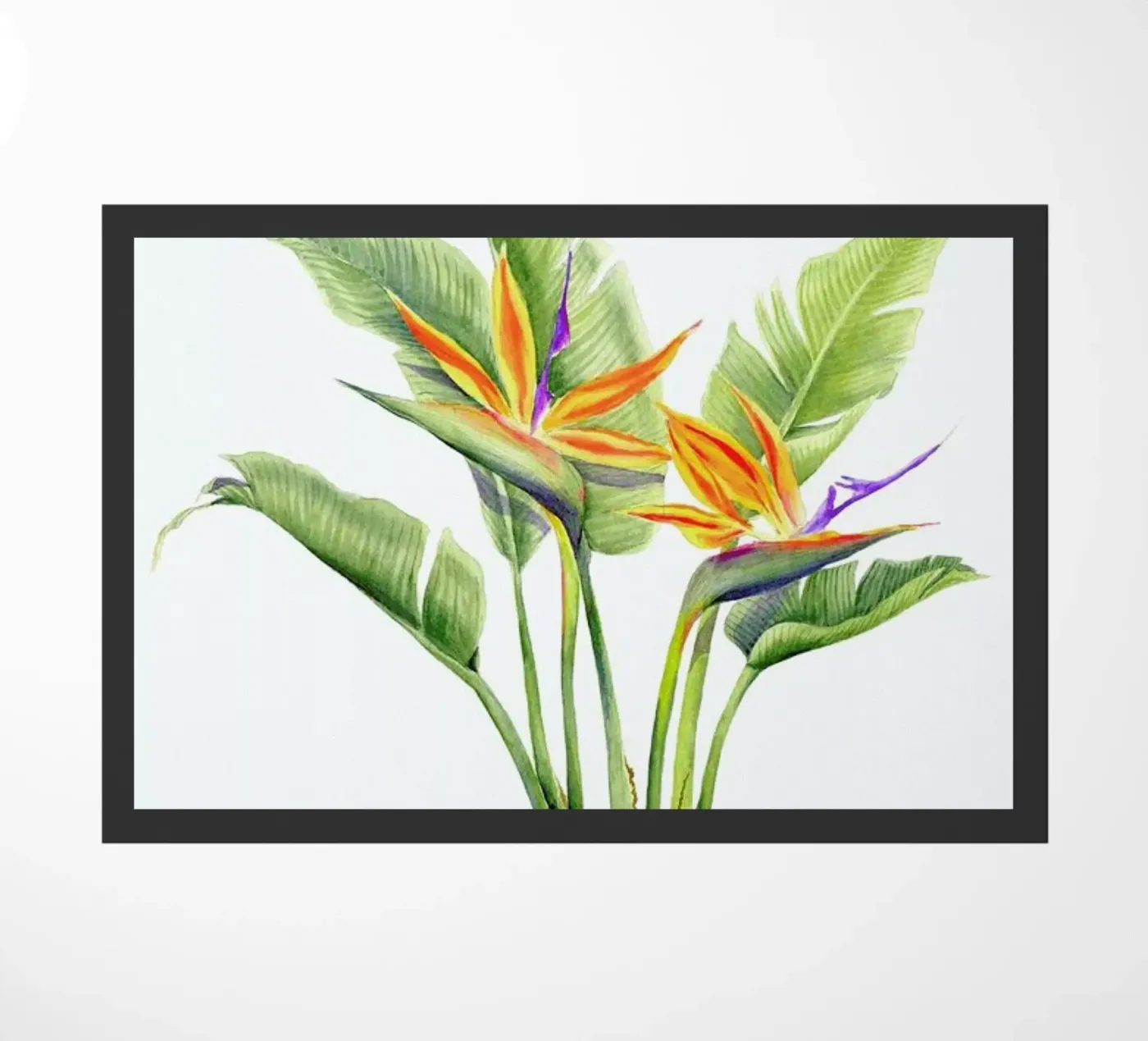 Strelitzienstrauß zerbino da youdesignme