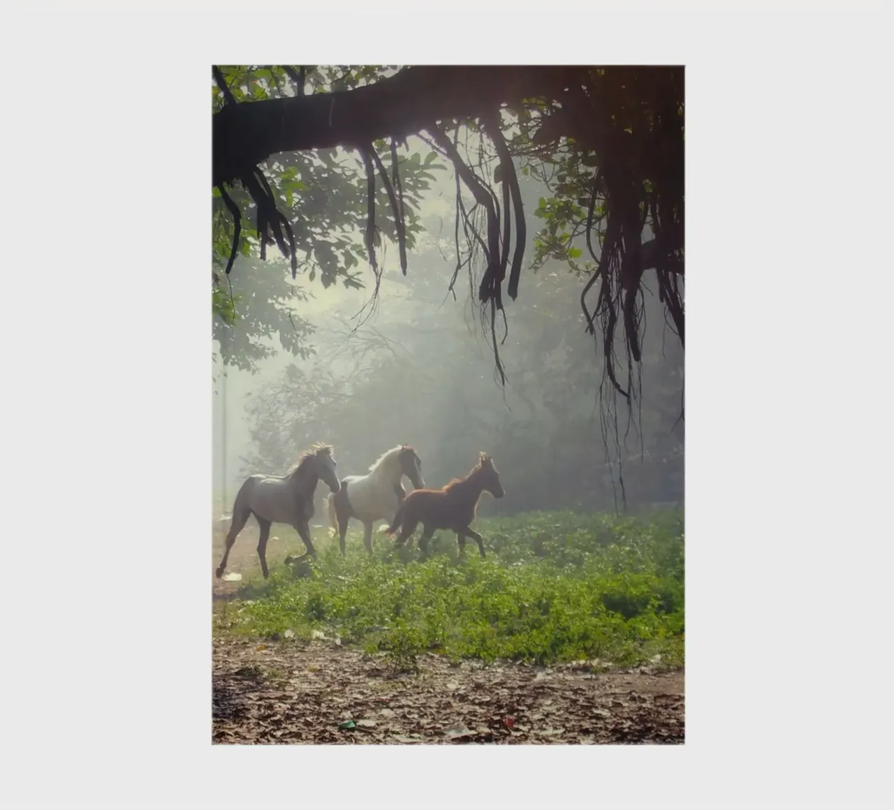 tranquility horses notebook by Horsire