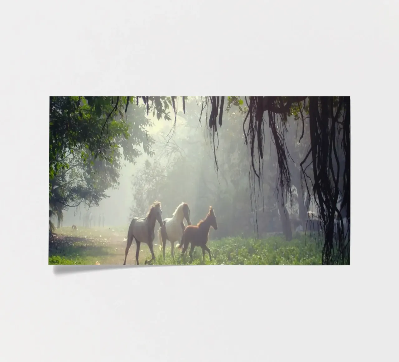chevaux tranquilles planche autocollant de Horsire
