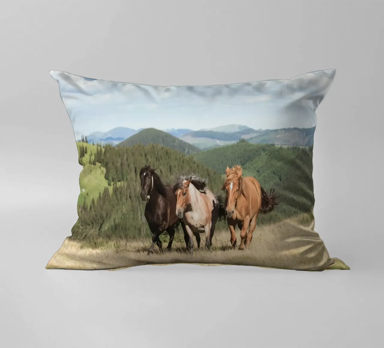cavalli in libertà cuscino da Horsire