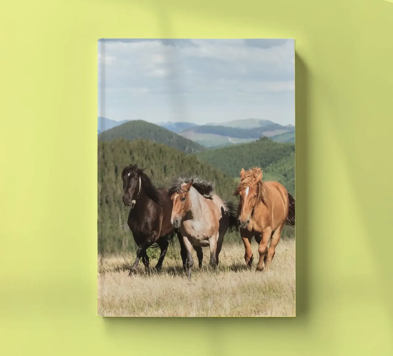 horses running wild notebook by Horsire