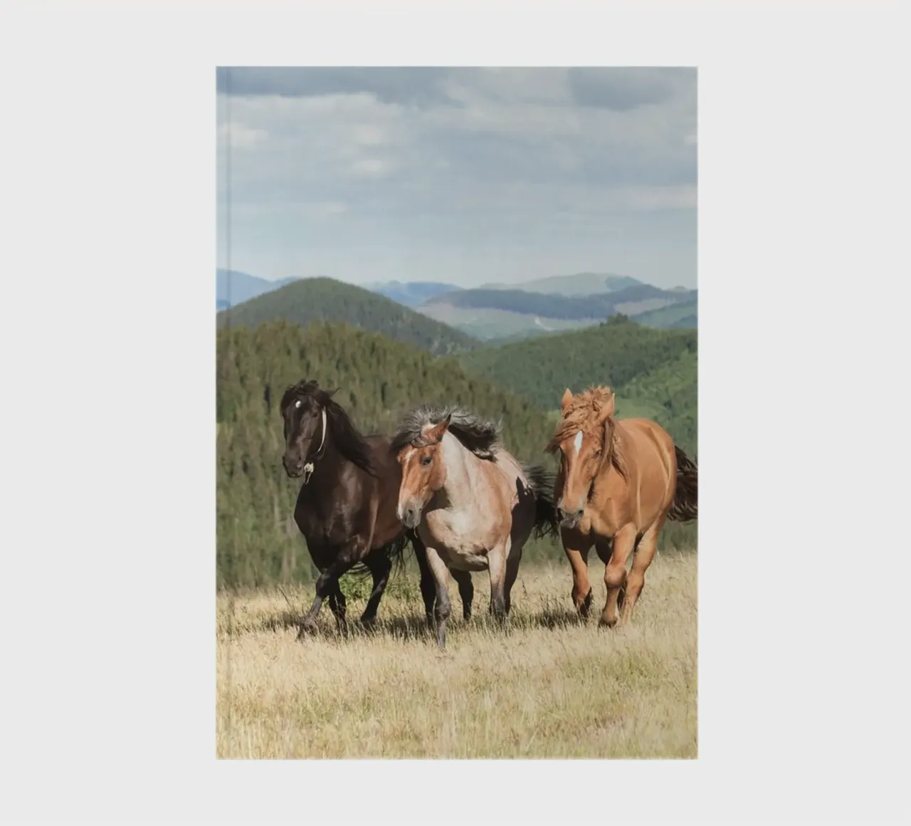 horses running wild notebook by Horsire